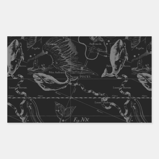 Pisces Constellation Hevelius 1690 on Black Rechteckiger Aufkleber (Vorderseite)