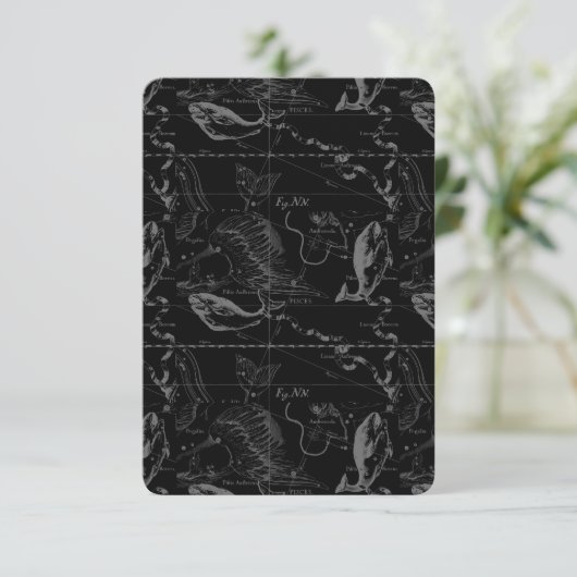 Pisces Constellation Map by Hevelius 1690 (Stehend Vorderseite)