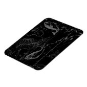 Pisces Constellation Map by Hevelius 1690 Magnet (Linke Seite)