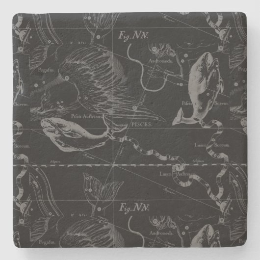 Pisces Constellation Map by Hevelius 1690 Steinuntersetzer (Vorderseite)