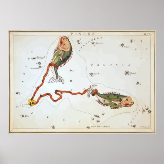 Pisces - Piscis - Horoskop - Astrologie - Sterne Poster (Vorne)