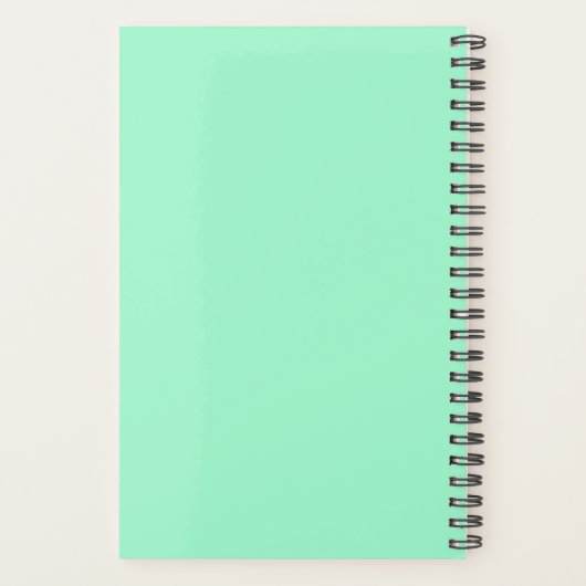 Pisces Planer (Rückseite)