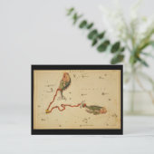 Pisces Postcard Postkarte (Stehend Vorderseite)