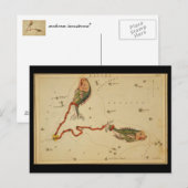 Pisces Postcard Postkarte (Vorne/Hinten)