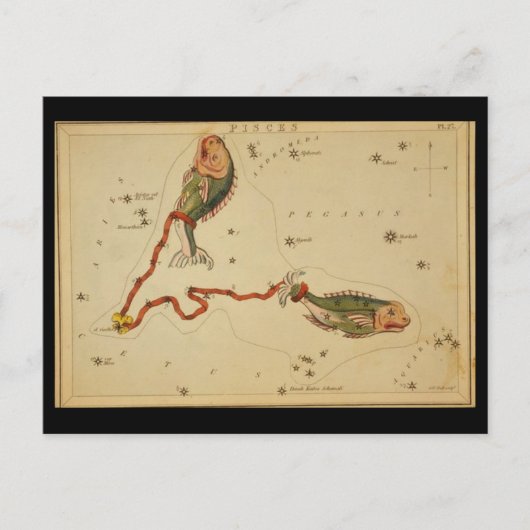 Pisces Postcard Postkarte (Vorderseite)