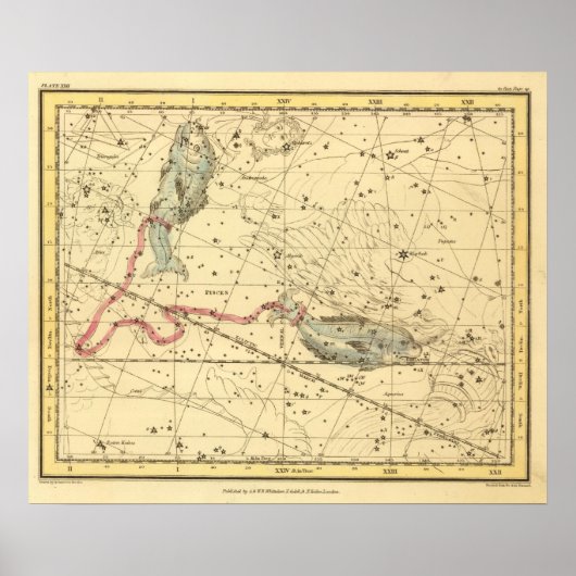 Pisces Poster (Vorne)