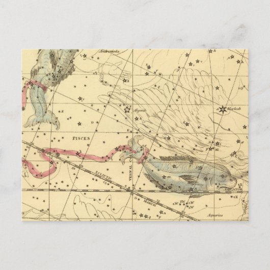 Pisces Postkarte (Vorderseite)