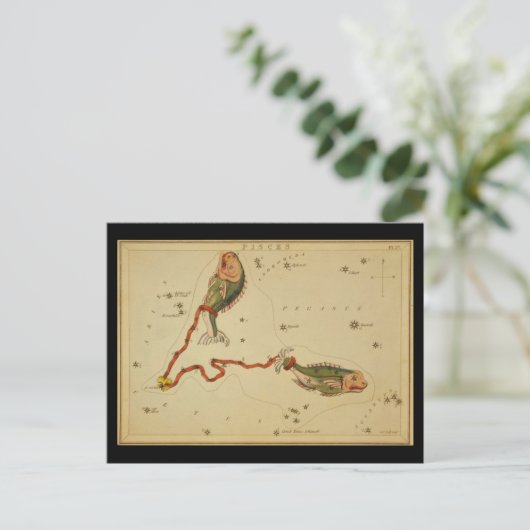 Pisces Postkarte (Stehend Vorderseite)