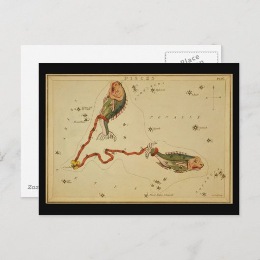 Pisces Postkarte (Vorne/Hinten)