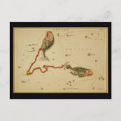 Pisces Postkarte (Vorderseite)