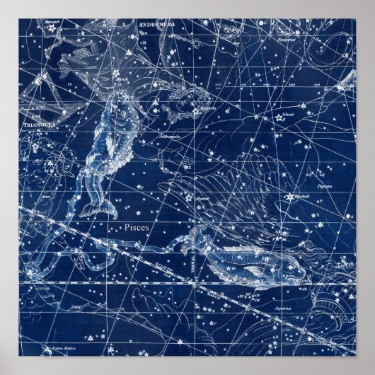 Pisces Zodiac Signierung Vintage Illustration Poster (Vorne)