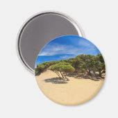 Piscinas dune - Sardinien, Italien Magnet (Vorderseite/Rückseite)