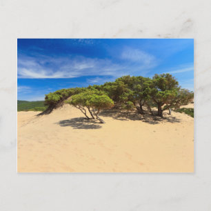 Piscinas dune - Sardinien, Italien Postkarte