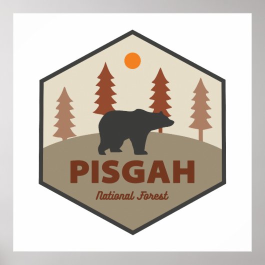 Pisgah National Forest Bear Poster (Vorne)