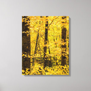 Pisgah National Forest im Herbst Leinwanddruck