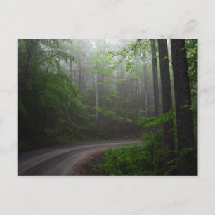 Pisgah National Forest, North Carolina Postcard Postkarte