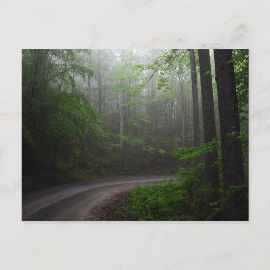 Pisgah National Forest, North Carolina Postcard Postkarte (Vorderseite)