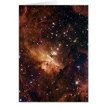 Pismis 24 braune Sterne NASA