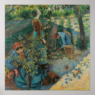 Pissarro - Apfelernte Poster