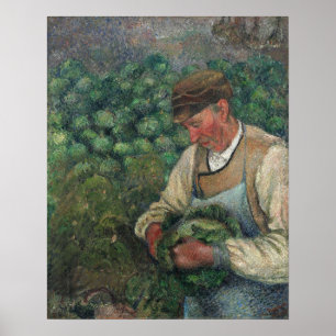 Pissarro - Der Gärtner Alte Bauernfrau Mit Kohl Poster