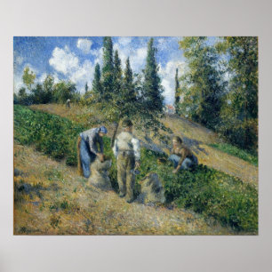 Pissarro - Die Ernte Pontoise 1881 Poster