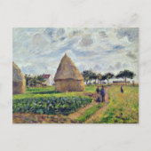 PISSARRO - HAYSTACKS UND CABBAGE PATCH, POSTKARTE (Vorderseite)