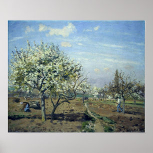 Pissarro - Obstgarten in Blüte Louveciennes 1892 Poster