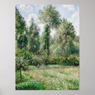 Pissarros Pappeln, Éragny Poster