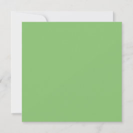 Pistachio Nut Green Solid Color Karte