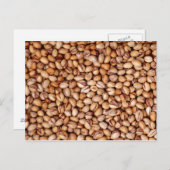 Pistachio Nuts Postkarte (Vorne/Hinten)