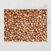 Pistachio Nuts Postkarte (Vorderseite)
