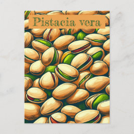 Pistachio Pop Art Postkarte