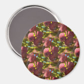 Pistazien... Magnet (Vorderseite/Rückseite)