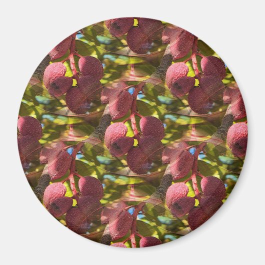 Pistazien... Magnet (Vorne)