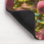 Pistazien... Mousepad (Ecke)