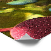 Pistazien... Poster (Ecke)