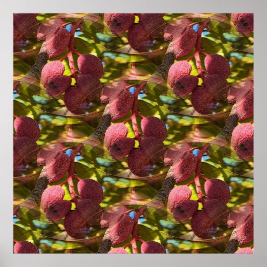 Pistazien... Poster (Vorne)