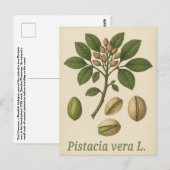 Pistazien-Postkarte Postkarte (Vorne/Hinten)