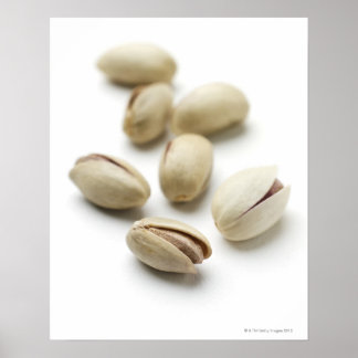Pistazienmuttern. Poster