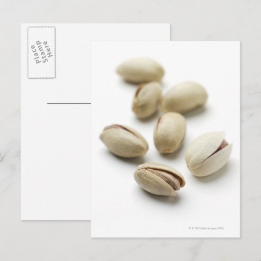 Pistazienmuttern. Postkarte (Vorne/Hinten)