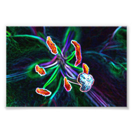  Pistilo de flor con efecto abstracto Fotodruck