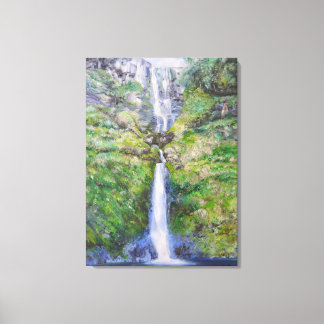 Pistyll Rhaadr Waterfall, Wales Leinwanddruck