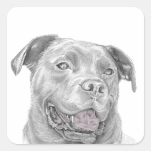 Pit Bull Art Zeichnend Quadratischer Aufkleber