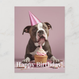 Pit Bull Birthday Celebration Postkarte