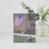 Pit Bull/BSL Postcard Postkarte (Stehend Vorderseite)