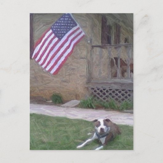 Pit Bull/BSL Postcard Postkarte (Vorderseite)