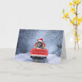 Pit Bull Dog in Snow sitzend im Weihnachtswagen Karte (Gelbe Blume)