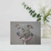 Pit Bull Dog Postkarte (Stehend Vorderseite)