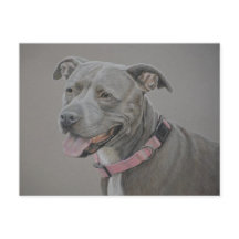 Pit Bull Dog Postkarte