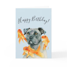 Pit Bull Dog und Goldfish | Happy Birthday